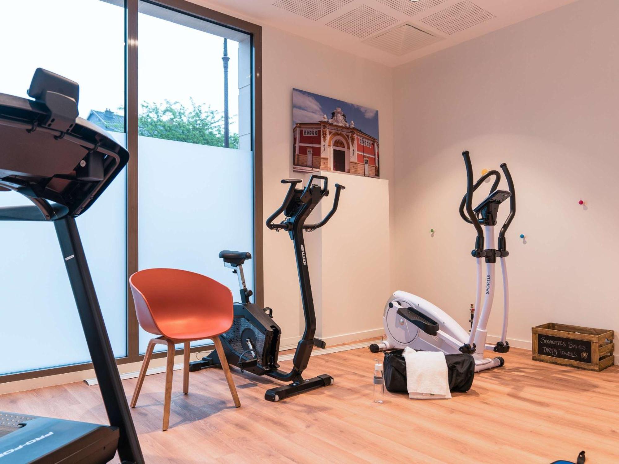 Ibis Styles En Champagne Centre Hotel 3*